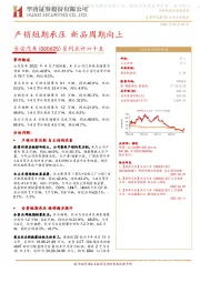 系列点评六十五：产销短期承压 新品周期向上