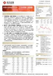 年报&季报业绩双喜;三元&铁锂一体两翼