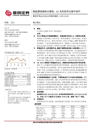 公司简评报告：新能源领域势头强劲，Q1毛利率环比稳中有升