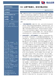 22Q1业绩平稳增长,新项目稳步推进