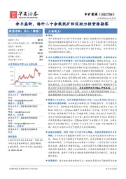 牵手盛新,海外二十余载找矿积淀助力锂资源勘察