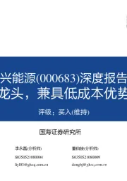 深度报告：稀缺天然碱龙头，兼具低成本优势和成长属性