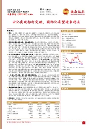 云化实现标杆突破,国际化有望迎来拐点