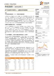 多产品矩阵布局深化，业绩保持持续增长