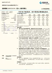 汽车电子破局者，迎中国供应链崛起良机