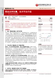 奥锐特深度报告：壁垒品种放量，技术平台升级