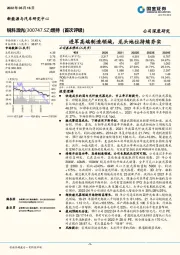 进军高端制造领域，龙头地位持续夯实