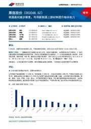 炭黑盈利逐步修复，布局新能源上游材料提升综合实力