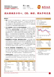 股权激励显示信心，CIS、触控、模拟多线发展