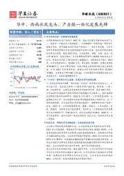 华中、西南水泥龙头,产业链一体化发展先锋