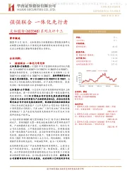 系列点评十三:强强联合 一体化先行者