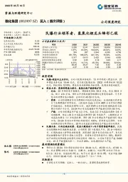 民爆行业领军者，氢氧化锂龙头雏形已现