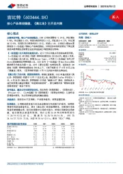 核心产品表现稳健，《奥比岛》已开启内测