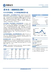 行业东风渐起，公司新能源转型加速