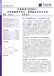 非轮胎橡胶件龙头,新能源业务多点开花