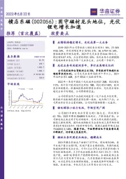 固守磁材龙头地位，光伏锂电增长加速