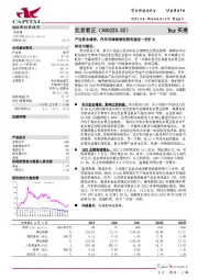 产业资本增持，汽车存储领域优势有望进一步扩大