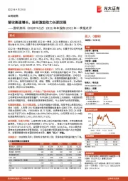 2021年年报和2022年一季报点评：营收高速增长，股权激励助力长期发展