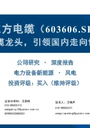 海缆龙头，引领国内走向世界