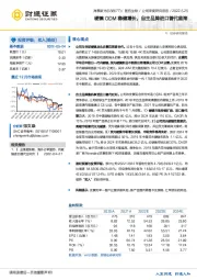 硬镜ODM稳健增长,自主品牌进口替代蓝海