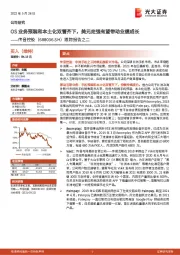 跟踪报告之二:OS业务预装和本土化双管齐下,美元走强有望带动业绩成长