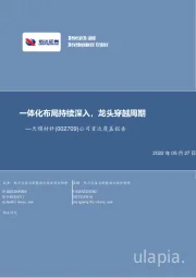 公司首次覆盖报告：一体化布局持续深入，龙头穿越周期