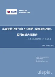 公司深度报告:东南亚炼化景气向上长周期+聚酯底部反转,盈利有望大幅提升