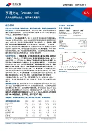 风光电缆领先企业，海风催化高景气