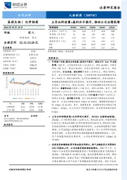 主导品种放量+盈利水平提升，推动公司业绩高增