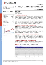 公司深度报告：进击的龙头，“一主两翼”协同核心城市群价值成长