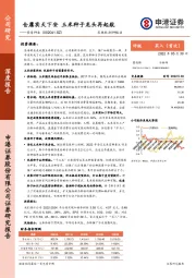 仓廪实天下安 玉米种子龙头再起航