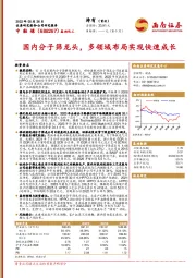 国内分子筛龙头，多领域布局实现快速成长