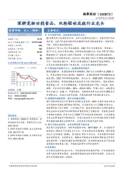 深耕宠物功能食品，双轮驱动成就行业龙头