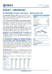 国产替代趋势下的全球工具电芯龙头，量利齐升成长可期