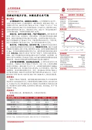 深耕玻纤稳步扩张、积微成著未来可期