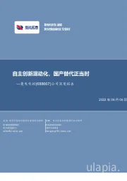 自主创新混动化，国产替代正当时