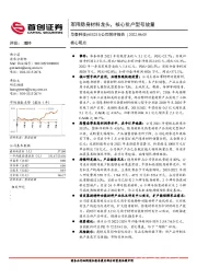 公司简评报告：军用隐身材料龙头，核心批产型号放量