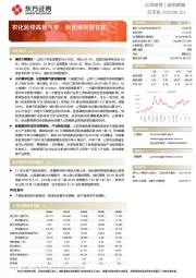 农化延续高景气度，新能源转型在即