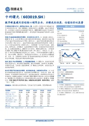 数字新基建及信创核心领军企业，业绩成长性高、估值性价比显著