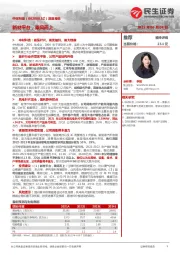 深度报告:新材平台,乘风而上