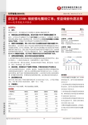 先导智能点评报告:获宝丰20GWh储能锂电整线订单;受益储能快速发展