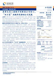 高管及员工持股计划彰显公司信心，“双子星”战略布局推动公司发展