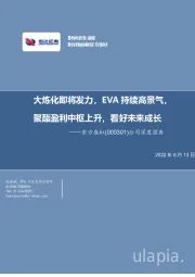 公司深度报告：大炼化即将发力，EVA持续高景气，聚酯盈利中枢上升，看好未来成长