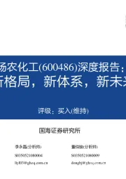 深度报告：新格局，新体系，新未来