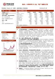 高成长、小而美的特色API企业，“抢仿”放量拐点已现