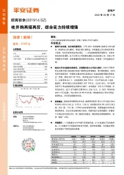 收并购再接再厉，综合实力持续增强