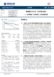 公司深度研究：预调酒如日方升，RIO蓄力前行