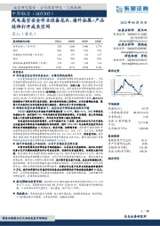 风电高空安全作业设备龙头，海外拓展+产品延伸打开成长空间