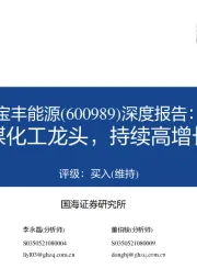 深度报告：煤化工龙头，持续高增长