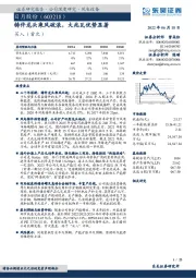 铸件龙头乘风破浪,大兆瓦优势显著